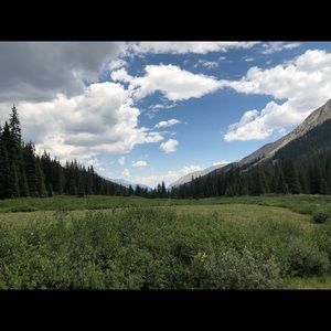 Meet your Posher, Lea